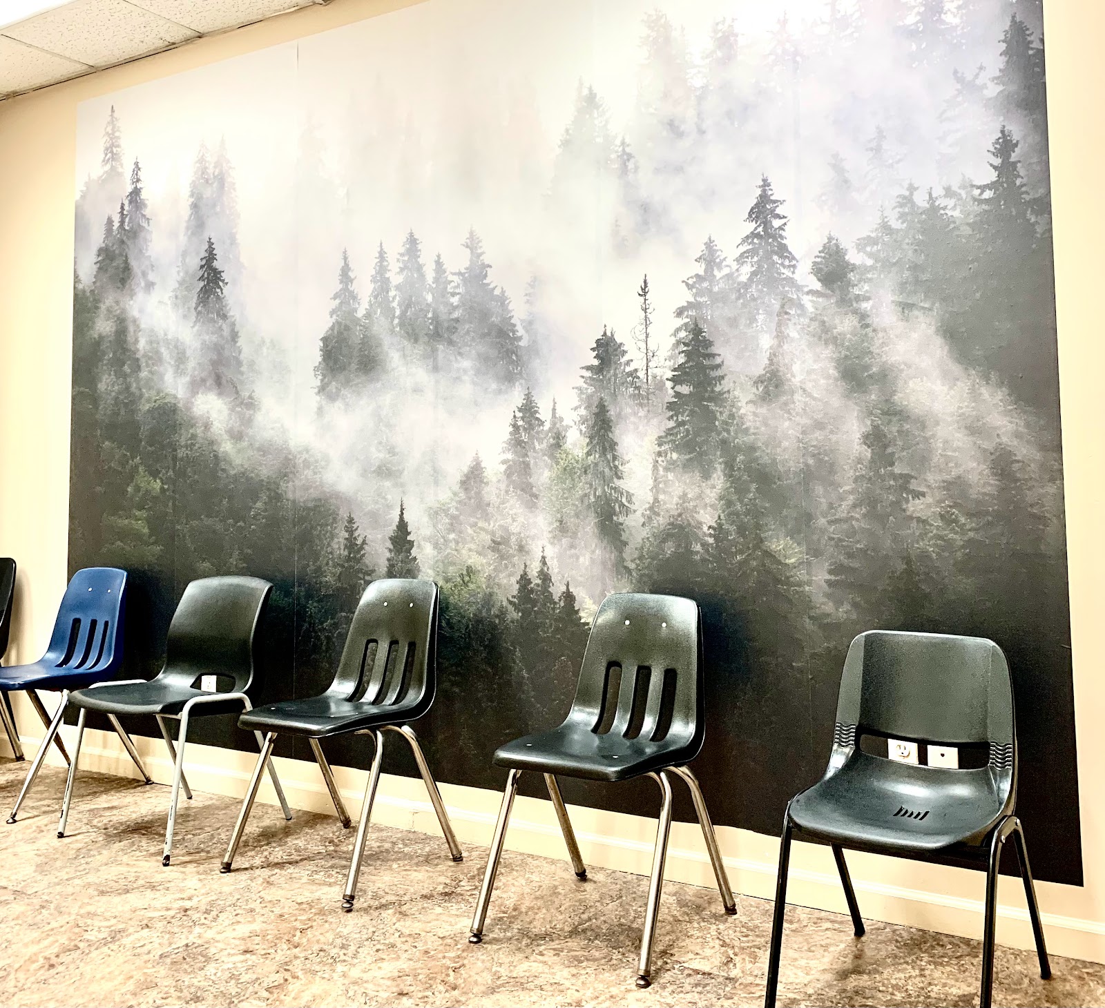 American Habitare and Counseling